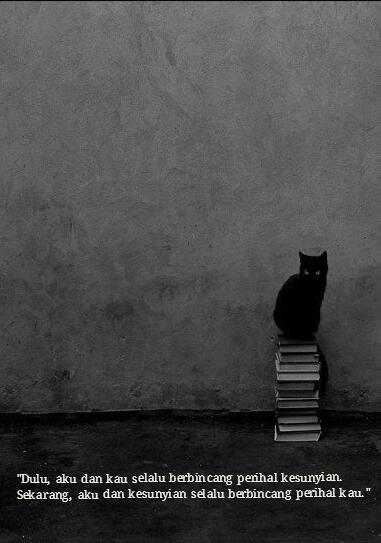 19999030492057374450.jpg image