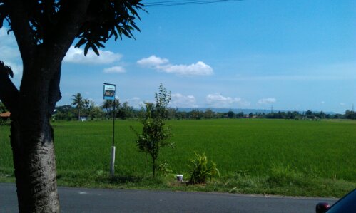 CameraZOOM-20131113132530573.jpg image